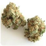 Шишки "White Widow"  (Белая вдова)  Гидропоника -  Бошка VHQ в Рославле