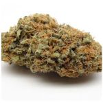 Шишки AK47 (Гидропоника, Бошка) VHQ в Рославле Шишки AK47 (Гидропоника, Бошка) VHQ в Рославле